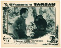 6b791 NEW ADVENTURES OF TARZAN chapter 12 LC '35 c/u of expedition member with Jiggs the chimpanzee!