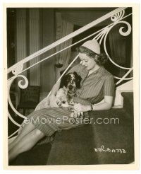6c117 BETTE DAVIS 8x10 still '30s cool image of the pretty actress on stairs w/Cocker Spaniel dog!