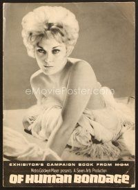 6d377 OF HUMAN BONDAGE pressbook '64 super sexy Kim Novak can't help being what she is!