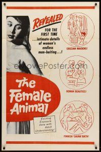 6f336 FEMALE ANIMAL 1sh '70 intimate details of women's endless man-baiting!