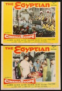 6g883 EGYPTIAN 2 LCs '54 Michael Curtiz directed, Jean Simmons, Gene Tierney, cool image of court!