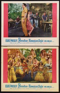 6g946 PARADISE - HAWAIIAN STYLE 2 LCs '66 Elvis Presley in dance numbers with sexy Hawaiian girls!