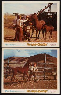 6g997 WILD COUNTRY 2 LCs '71 Disney, Vera Miles, Ron Howard and brother Clint Howard!