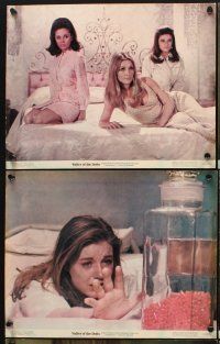 6g635 VALLEY OF THE DOLLS 6 color 11x14 stills '67 Patty Duke, Sharon Tate, Barbara Parkins!