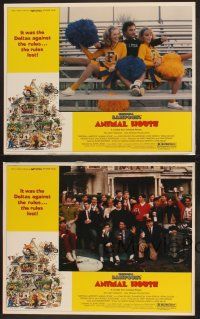 6g699 ANIMAL HOUSE 4 LCs '78 John Belushi, John Landis directed college classic!
