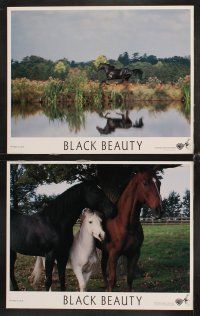 6g074 BLACK BEAUTY 8 LCs '94 Sean Bean, a story for all ages, a friendship for all time!