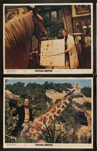 6g160 DOCTOR DOLITTLE 8 LCs R69 Rex Harrison speaks with animals, directed by Richard Fleischer!