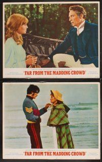 6g176 FAR FROM THE MADDING CROWD 8 LCs '68 Julie Christie, Terence Stamp, Peter Finch!