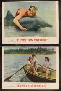 6g188 FLIPPER'S NEW ADVENTURE 8 LCs '64 Flipper the fearless is more fin-tastic than ever!