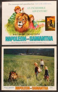 6g018 NAPOLEON & SAMANTHA 9 LCs '72 Disney, very 1st Jodie Foster, Michael Douglas & lion!