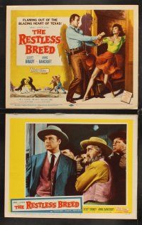 6g394 RESTLESS BREED 8 LCs '57 cool images of cowboy Scott Brady & sexy young Anne Bancroft!