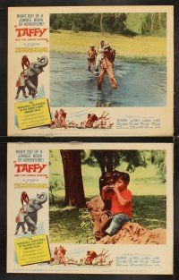 6g448 TAFFY & THE JUNGLE HUNTER 8 LCs '65 Jacques Bergerac, great images of boy with baby elephant!