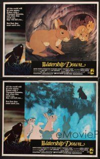 6g785 WATERSHIP DOWN 4 LCs '78 based on Richard Adams' best seller, cool bunny art!