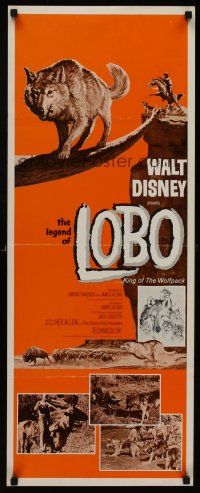 6k478 LEGEND OF LOBO insert '63 Walt Disney, King of the Wolfpack, cool art of wolf being hunted!