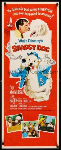 6k649 SHAGGY DOG insert '59 Disney, Fred MacMurray in the funniest sheep dog story ever told!