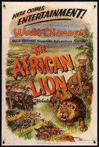 6p020 AFRICAN LION 1sh '55 Walt Disney jungle safari documentary, cool artwork!