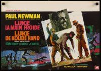 6t365 COOL HAND LUKE Belgian '67 Paul Newman prison escape classic, different art by Ray!
