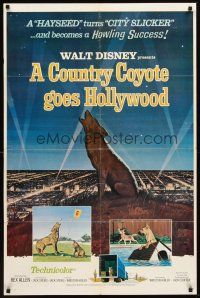 6y179 COUNTRY COYOTE GOES HOLLYWOOD 1sh '65 Walt Disney, cute arwork!