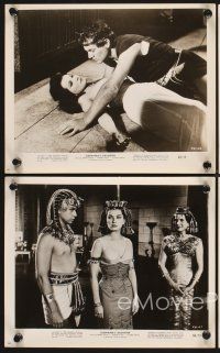 6z309 CLEOPATRA'S DAUGHTER 7 8x10 stills '63 Il Sepolcro dei re, many images of sexy Debra Paget!