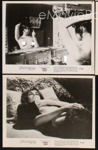 6z315 FEMALE FEVER 7 8x10.25 stills '77 wild images of sexy topless LuAnne Roberts!