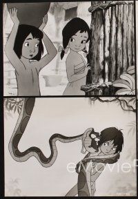 6z046 JUNGLE BOOK 16 7x9.25 stills '67 Disney, great cartoon images of Mowgli & his friends!