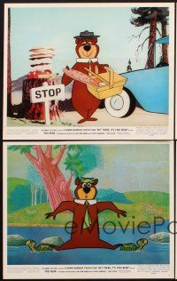 6z959 HEY THERE IT'S YOGI BEAR 4 color 8x10 stills '64 Hanna-Barbera, first full-length feature!