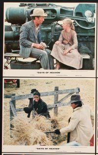 6z669 DAYS OF HEAVEN 8 8x10 mini LCs '78 Richard Gere, Brooke Adams, directed by Terrence Malick!