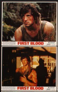 6z760 FIRST BLOOD 8 8x10 mini LCs '82 Sylvester Stallone as John Rambo, Richard Crenna