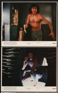 6z773 FLY 8 8x10 mini LCs '86 David Cronenberg sci-fi remake, Jeff Goldblum, Geena Davis!