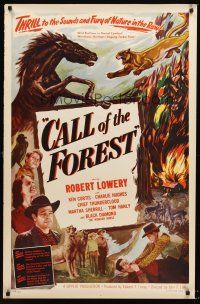 7c077 CALL OF THE FOREST 1sh '49 Robert Lowery, Ken Curtis, nature in the raw, outdoor adventure!
