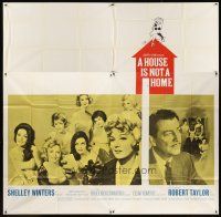 7e033 HOUSE IS NOT A HOME 6sh '64 Shelley Winters, Robert Taylor & 7 sexy hookers in brothel!