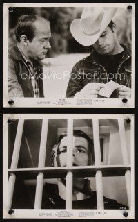 7f812 BORN LOSERS 2 8x10 stills R74 Tom Laughlin directs and stars as Billy Jack!