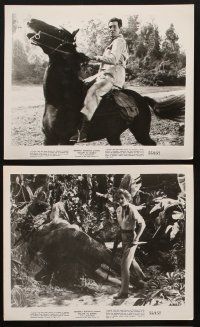 7f171 ESCAPE TO BURMA 6 8x10 stills '55 Robert Ryan & Barbara Stanwyck in the jungle!