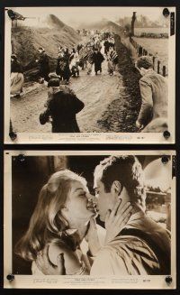 7f307 SONS & LOVERS 6 8x10 stills '60 from D.H. Lawrence's novel, Dean Stockwell & sexy Mary Ure!
