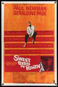 7g832 SWEET BIRD OF YOUTH 1sh '62 Paul Newman, Geraldine Page, from Tennessee Williams' play!