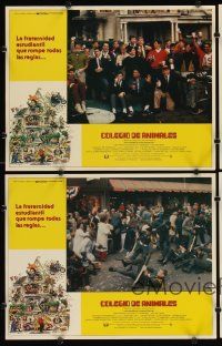 7h974 ANIMAL HOUSE 4 Spanish/U.S. LCs '78 John Belushi, John Landis directed college classic!
