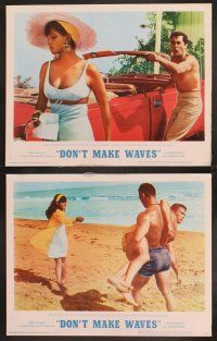 7h217 DON'T MAKE WAVES 8 LCs '67 Tony Curtis, super sexy Sharon Tate & Claudia Cardinale!