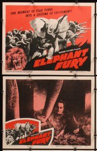 7h228 ELEPHANT FURY 8 LCs '56 a moment of fear turns into a lifetime of excitement!