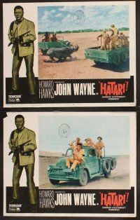 7h299 HATARI 8 LCs R67 Howard Hawks, great artwork images of John Wayne in Africa!