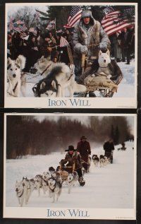 7h348 IRON WILL 8 LCs '94 Disney, Mackenzie Astin, Spacey, true story of dog sledding in the 1910s!