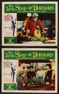 7h395 LITTLE SHOP OF HORRORS 8 LCs '60 Roger Corman, Jonathan Haze, man-eating plants!