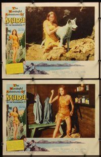 7h417 MARA OF THE WILDERNESS 8 LCs '65 sexy wolf-girl Lori Saunders is untamed & untouched!