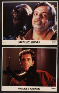 7h452 MONKEY SHINES 8 LCs '88 includes great candid of director George A. Romero & monkey!