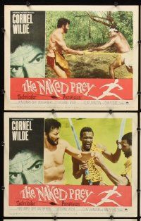 7h466 NAKED PREY 8 LCs '65 Cornel Wilde stripped and weaponless in Africa running from killers!