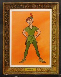 7h501 PETER PAN 8 LCs R76 Disney cartoon classic, incredible portrait cards of top characters!