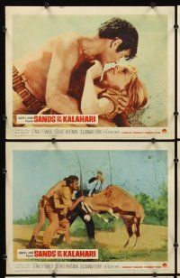 7h557 SANDS OF THE KALAHARI 8 LCs '65 the strangest adventure the eyes of man have ever seen!