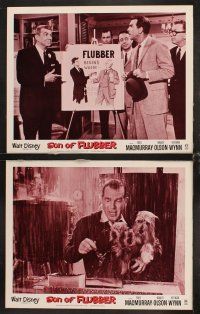 7h608 SON OF FLUBBER 8 LCs R74 Walt Disney, absent-minded professor Fred MacMurray!
