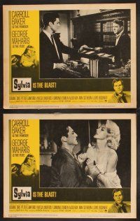 7h639 SYLVIA 8 LCs '65 sexy Carroll Baker is the powder, George Maharis is the fuse!