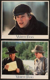 7h723 WHITE FANG 8 LCs '91 Disney, Ethan Hawke, from the novel by Jack London!