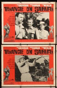 7h738 WOMAN & THE HUNTER 8 LCs R61 Ann Sheridan's final big screen movie role, Triangle on Safari!